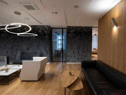 Nature-Infused Abstract Wall Mural