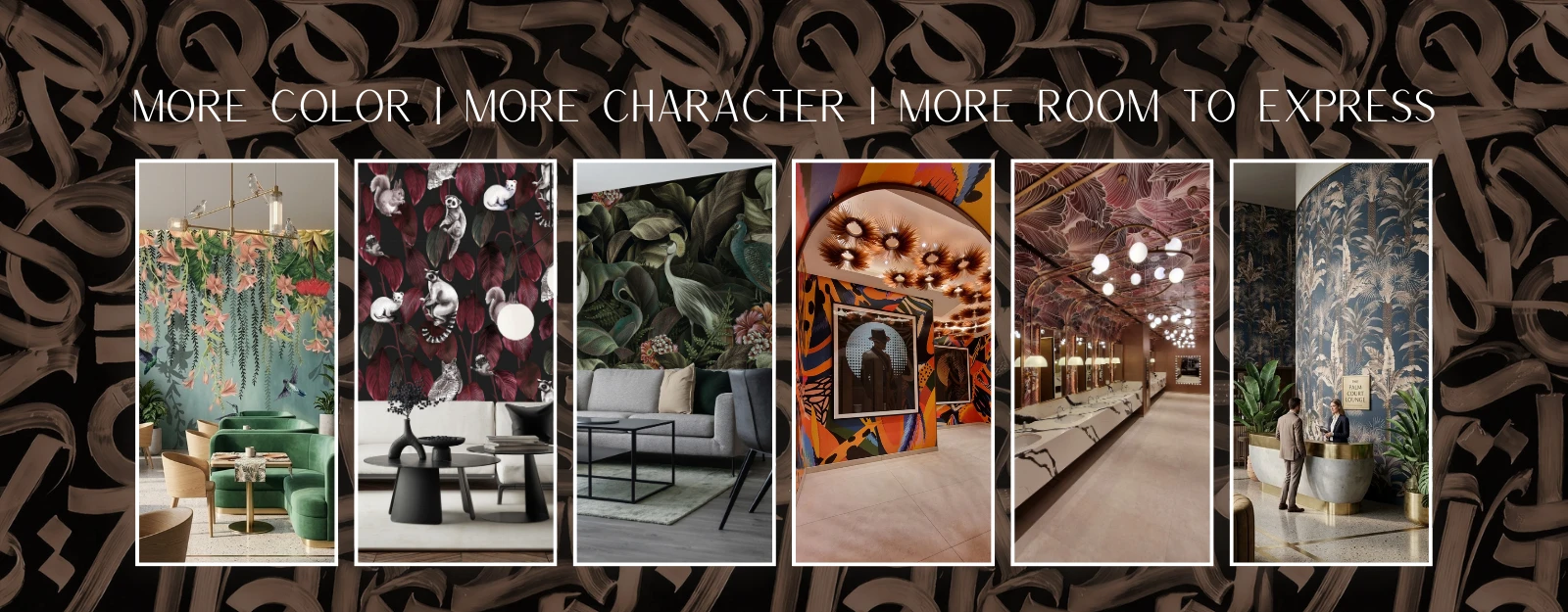 More Color, More Character, More Room to Express